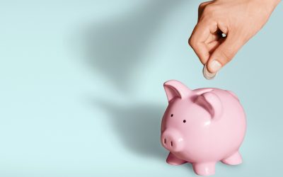 Facing Down the Great Recession: A Conversation with Andy Levin