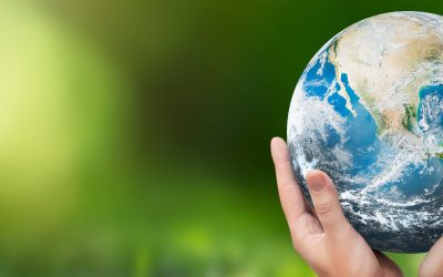 Comprehensive Climate Action Plan Workforce Planning Analysis