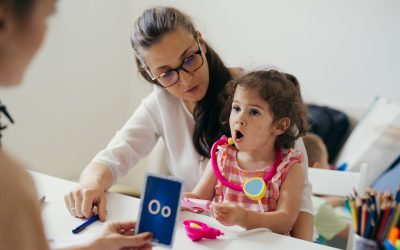 Findings from a Statewide Survey of Lead and Assistant Teachers in New Jersey’s Licensed Child Care Centers: An Overview and Comparison of Perspectives