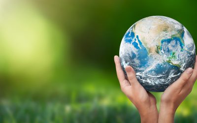 Comprehensive Climate Action Plan Workforce Planning Analysis Status Update